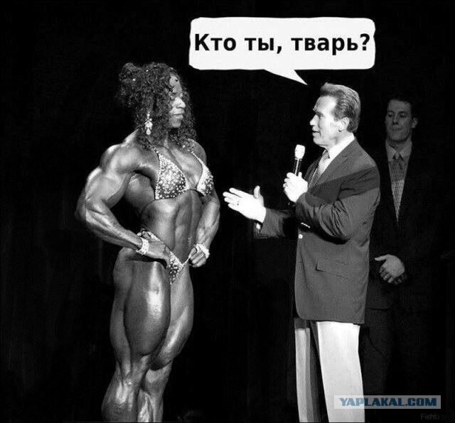 Я те сама вдую! Милая версия