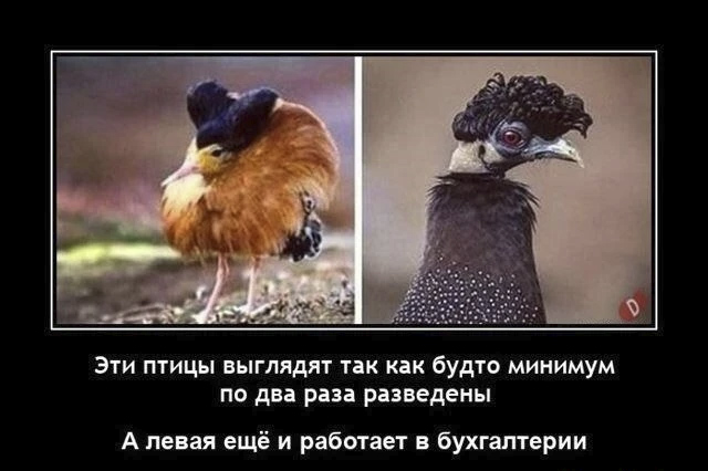 Картинки для настроения с надписями и без