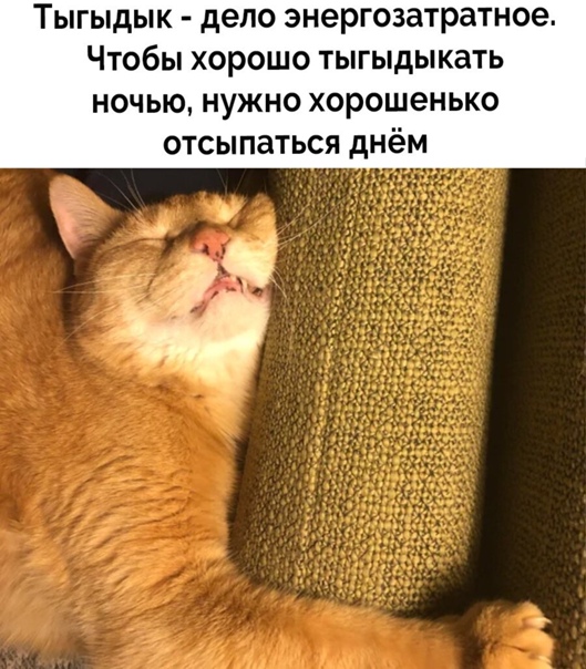 Пандемия. Коронавирус и съехавшие крыши. Россия и мир. Часть 33.
