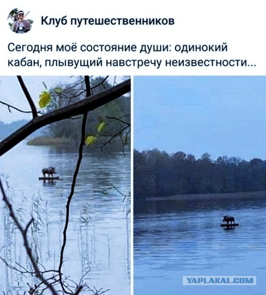 Должна ли жена иметь приданое?