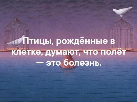Картинки и мемы для настроения - 17