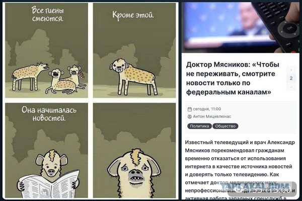 Пандемия съехавших крыш - разновидности болезни. Россия и мир. Часть 42.