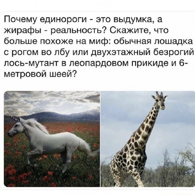 Так себе картинки 01.10.22