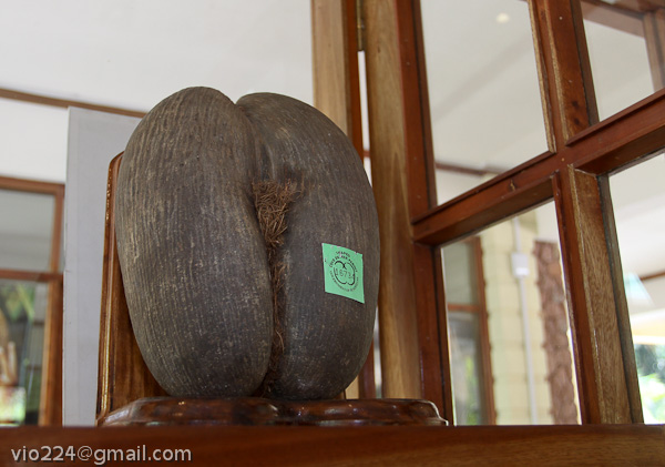 Сейшеллы октябрь 2012