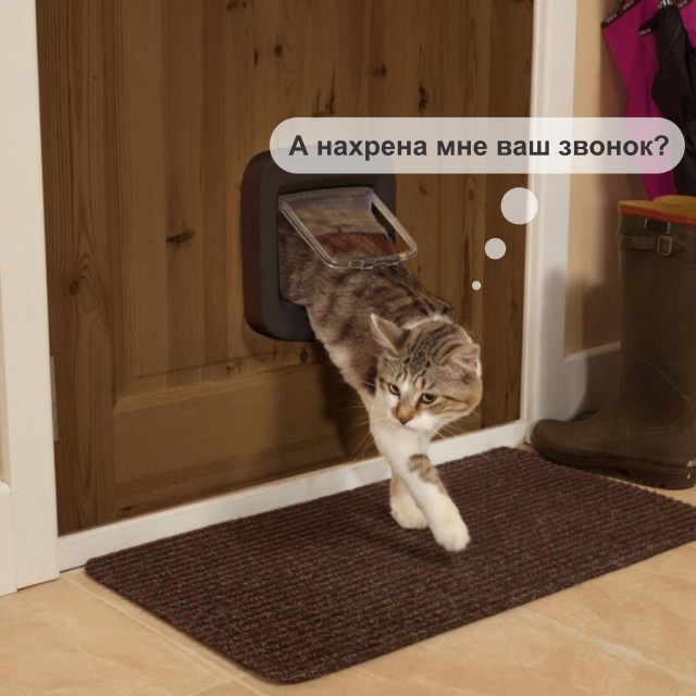 «Привет, сосед»