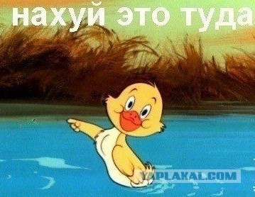 В WADA заявили об ожидании от России более $1 млн в качестве ежегодного взноса