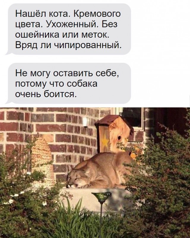 Немного картинок для настроения