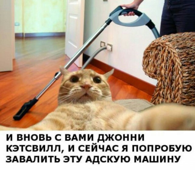 Картинки и мемы, всяко разно - 171