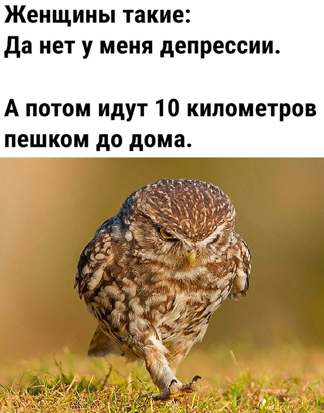 Скупка краденого из сети 08-08-2023