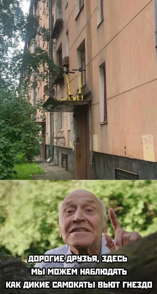 Весёлый полтишок 21.08.23