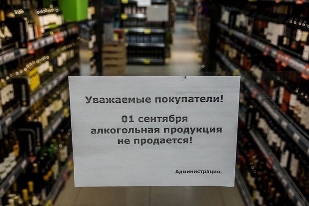 Снова в школу! Наши милые школьные подружки