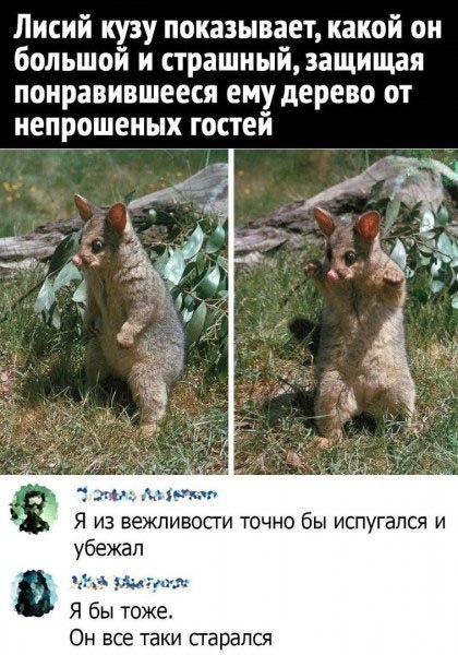 Школа джедаев. Начало