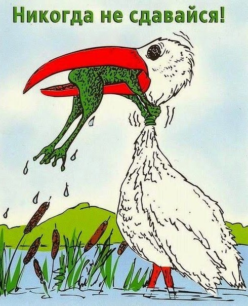 Беда не приходит одна