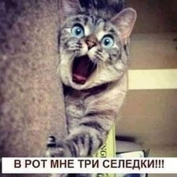 Завалялось тут случайно немного забавных картинок