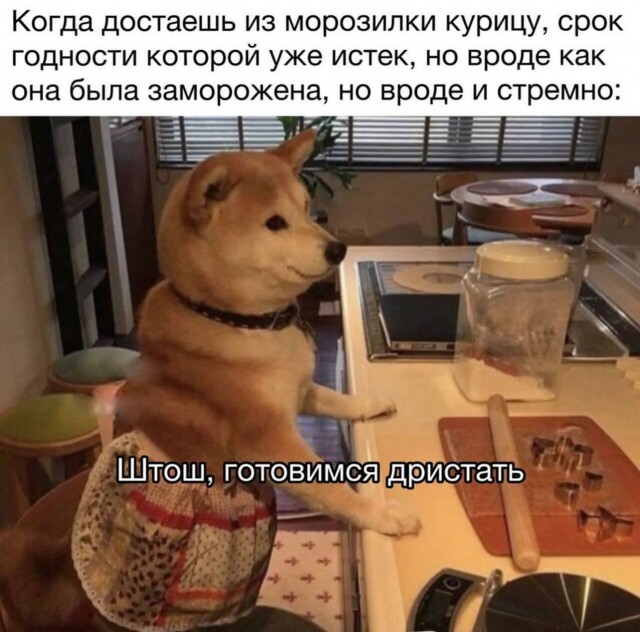 Веселые картинки к понедельнику (16.12)