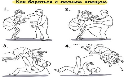 Еще один способ удаления клеща
