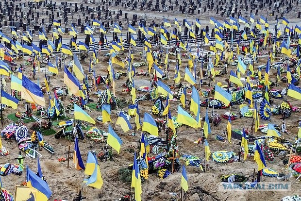 «Я не хочу умирать»: из-за чего Украина может оказаться «главной проигравшей»