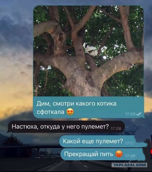 Небаянистая деградация 9