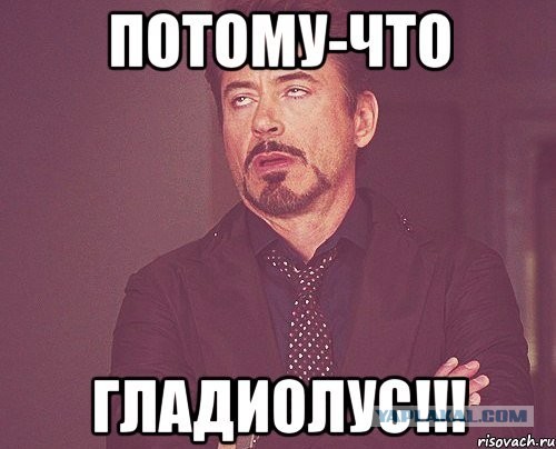 Не, ну ты видел, видел?!