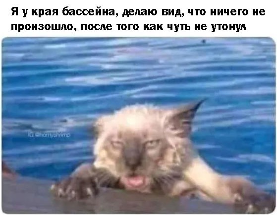 Подборка картинок к котовторнику
