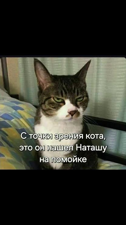 Найди себе уже мужика, Наташа!