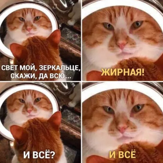 Картиночки, баянчики 15 августа