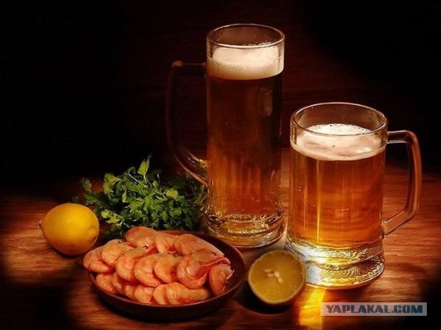 А чем завтракаешь ты?