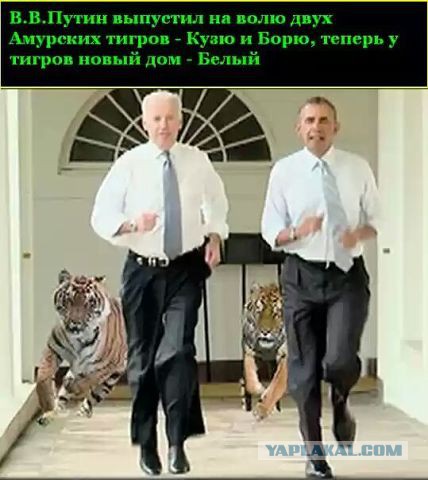 Сатиры псто
