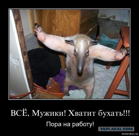 Что за чудо такое?