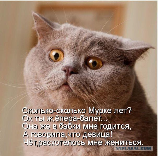 Добряки, плюсующие всех подряд
