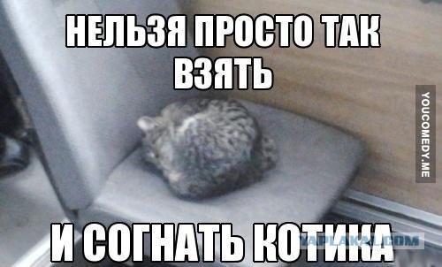 Снова картинки (что-то взгрустнулось)