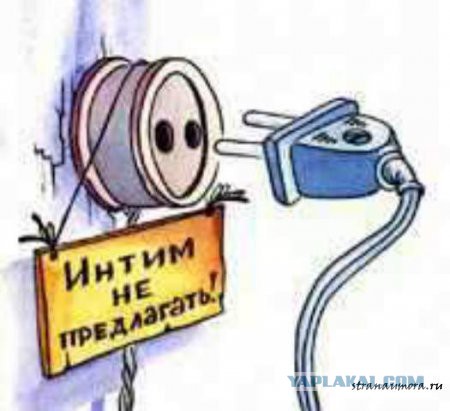 Ну тупые!