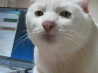 21 СМС от любящих пап