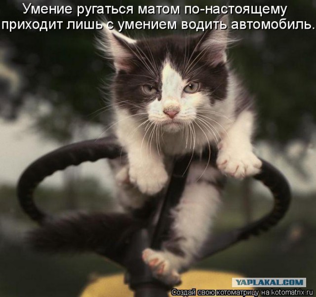 Немного картинок с просторов...