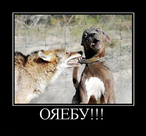 Веселые картинки на пятницу