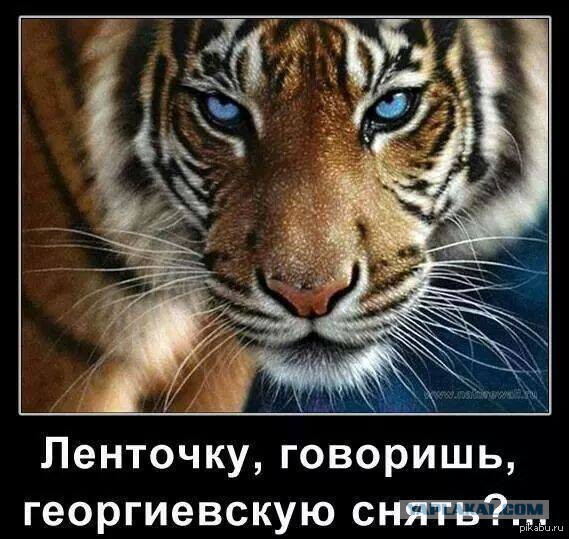 Даже фразы Бодрова режут по ТВ...