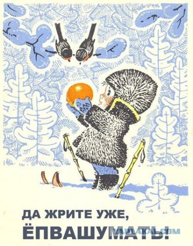 Смешные комментарии из социальных сетей 05.05.15