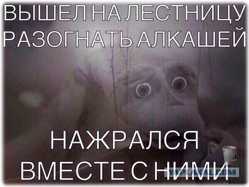 Картинки из сети