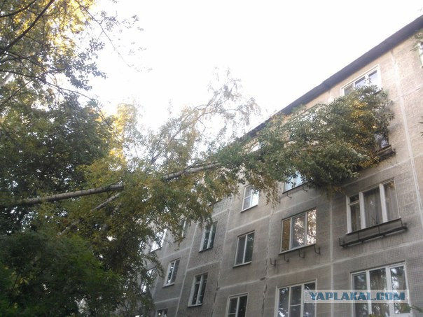 Последствия сильного ветра 3.10.2015