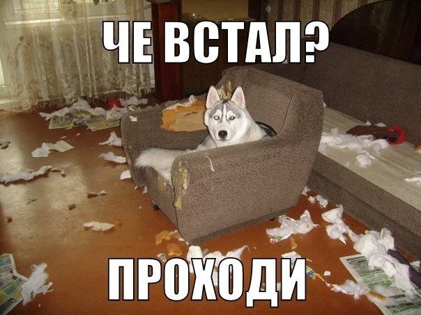 Картинки, надписи