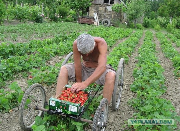 Картинки из сети, со смыслом и без оного