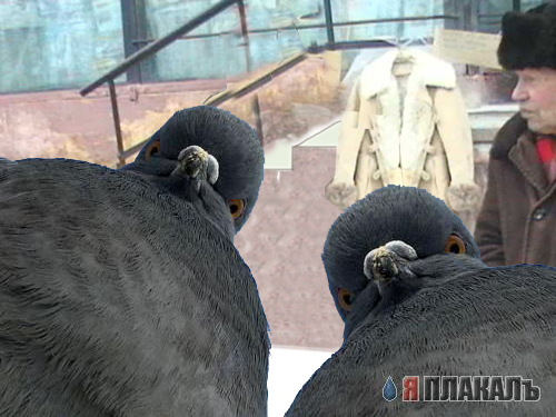 Фотожаба: Продаю матыля