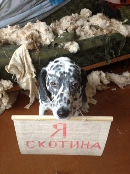 Немного юмора