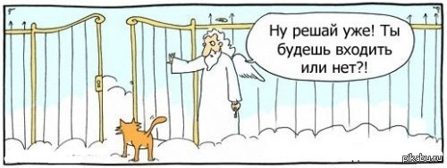 Лучший друг