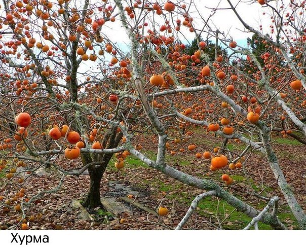 Интересные и веселые картинки