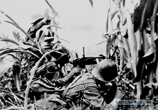 Крым и Севастополь 1941-1944 гг. Часть 1.