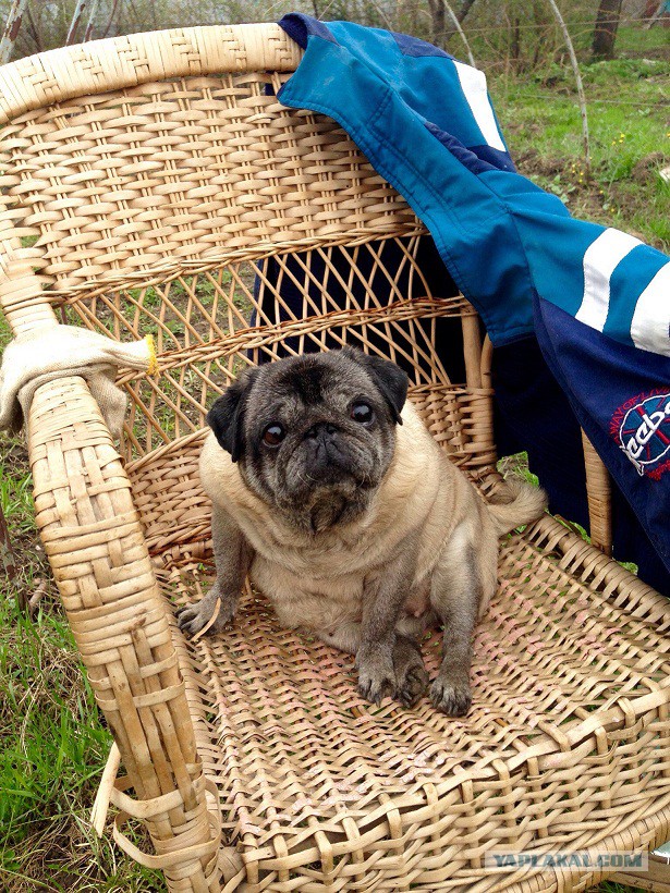 Я жду тебя за Радугой