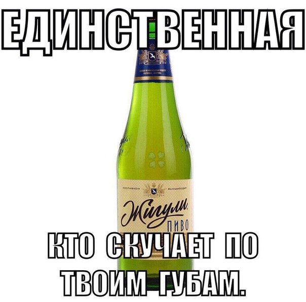 Сборище абсурда