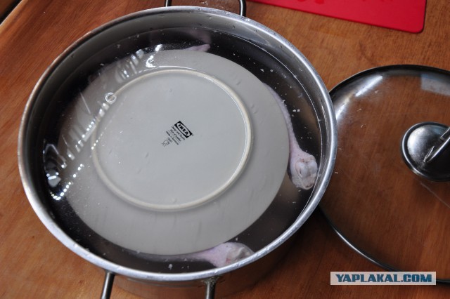 Сочная цыпочка