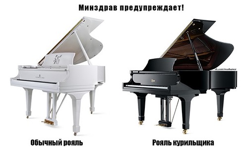 Картинки из интернетов